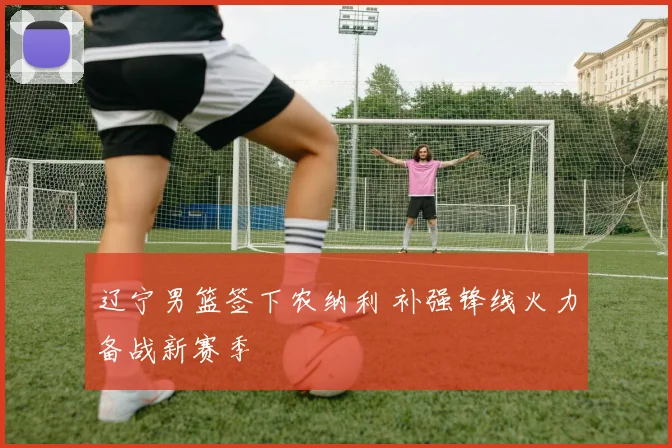 辽宁男篮签下农纳利 补强锋线火力备战新赛季