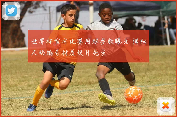 世界杯官方比赛用球参数曝光 揭秘尺码编号材质设计亮点