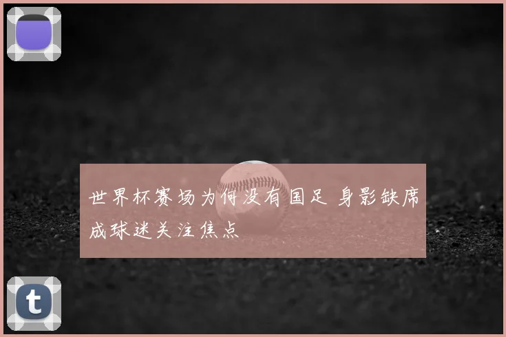 世界杯赛场为何没有国足 身影缺席成球迷关注焦点